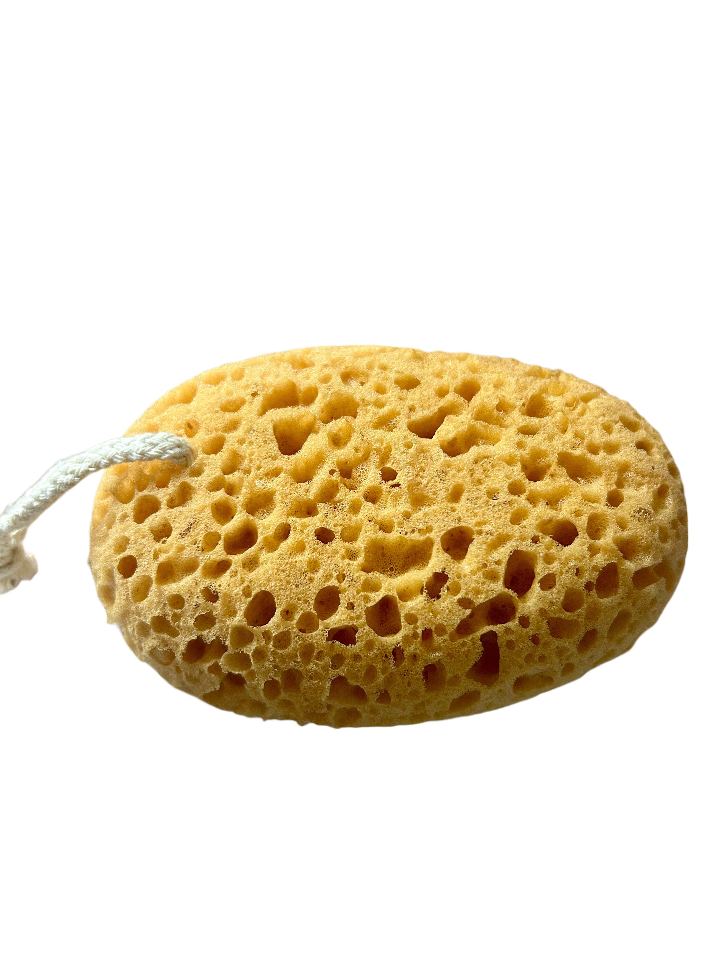 Sponge